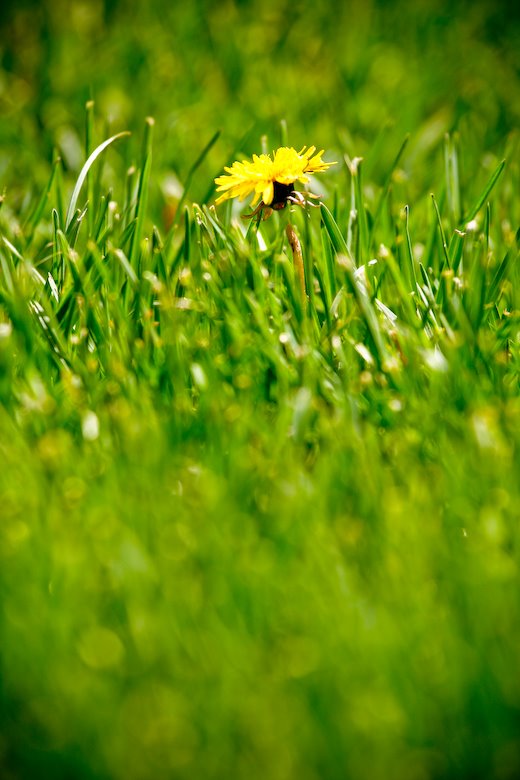 [09May03_trip_40.jpg]