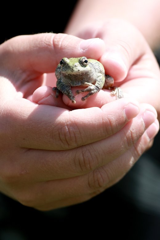 [09Jun06_weekend_55.jpg]