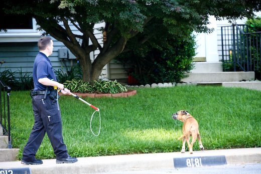 [09Jun20_bulldog_15.jpg]