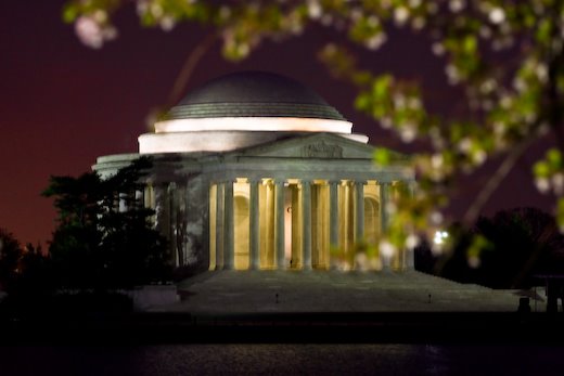 [09Apr11_cherryblossoms_2.jpg]