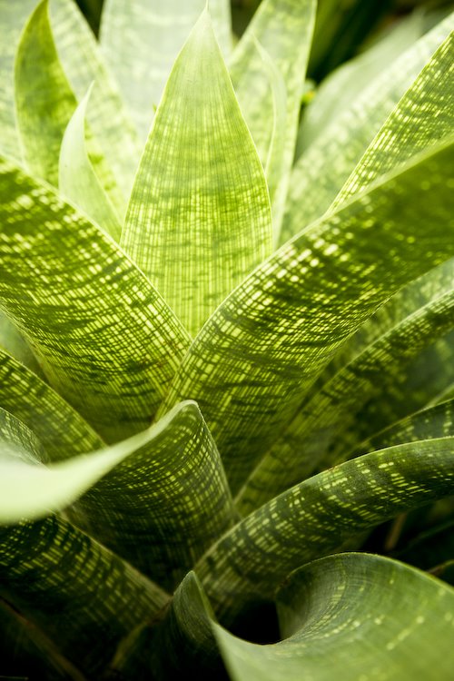 [08Sep17_Brookside_166.jpg]