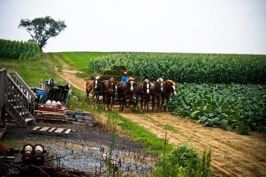 [09Jul29_Penn_275.jpg]