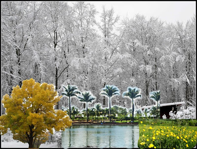 pretty landscape pictures without watermarks pretty landscape pictures without watermarks