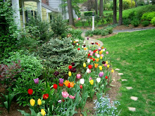 The Front Border