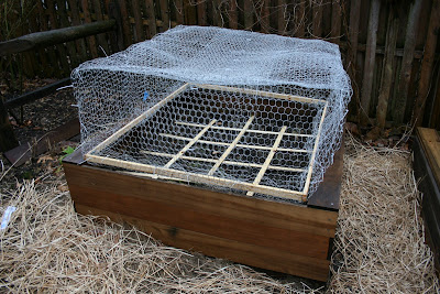 heirloom gardener: How to Protect Vegetables from Groundhogs, Rabbits