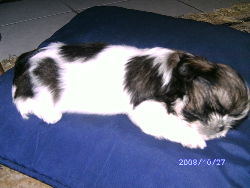 [VanillaNanando.jpg]