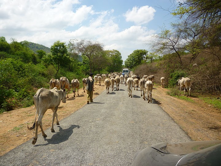 Baladi Yogesh's travel blogs: One day trip to 