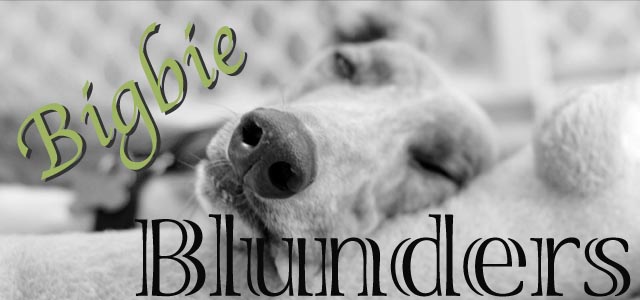 Bigbie Blog