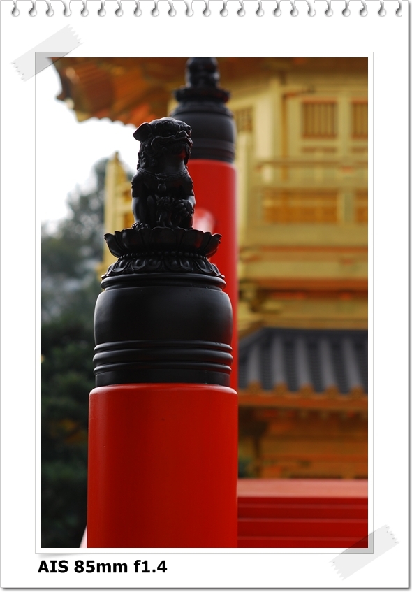 [DSC_4767.JPG]