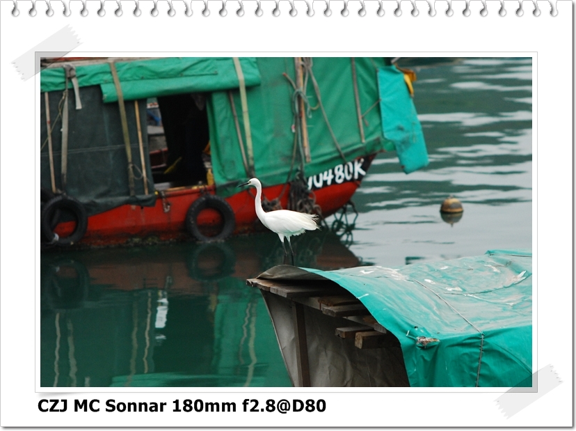[DSC_5459.JPG]