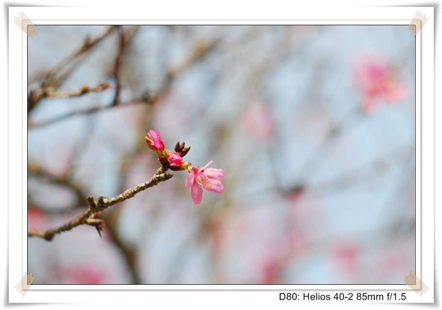 [DSC_8987.JPG]