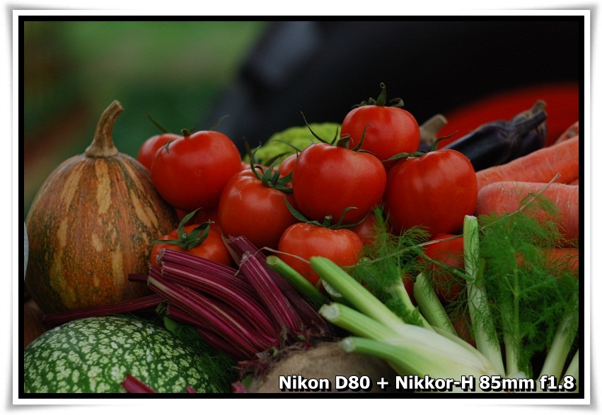 [FARMFEST_15.JPG]