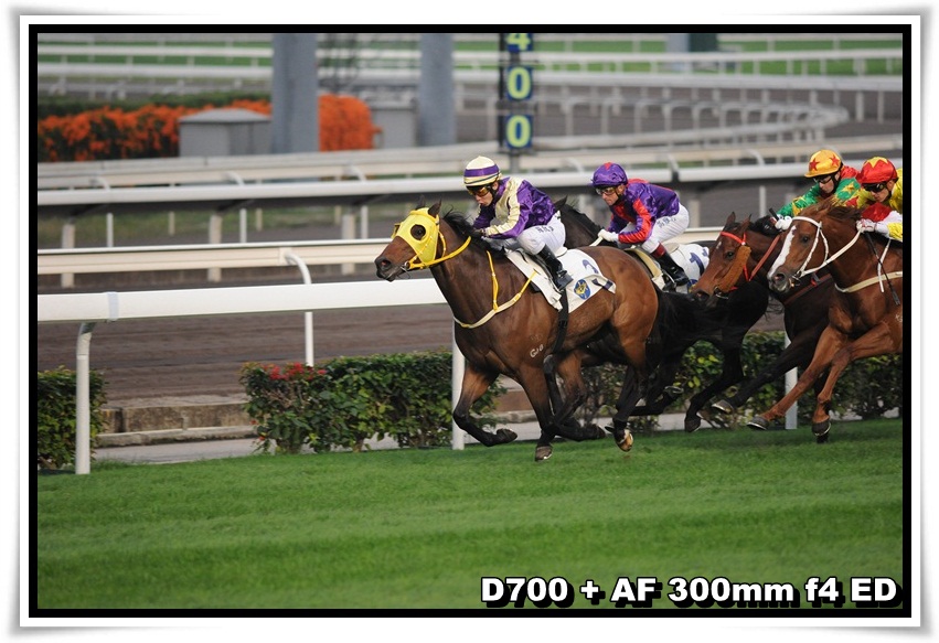 [HorseRace_31.JPG]