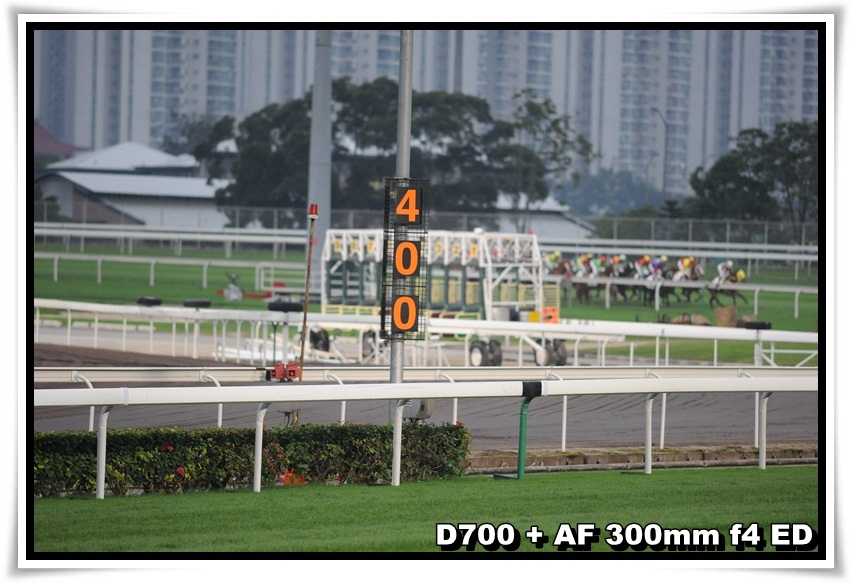 [HorseRace_29.JPG]