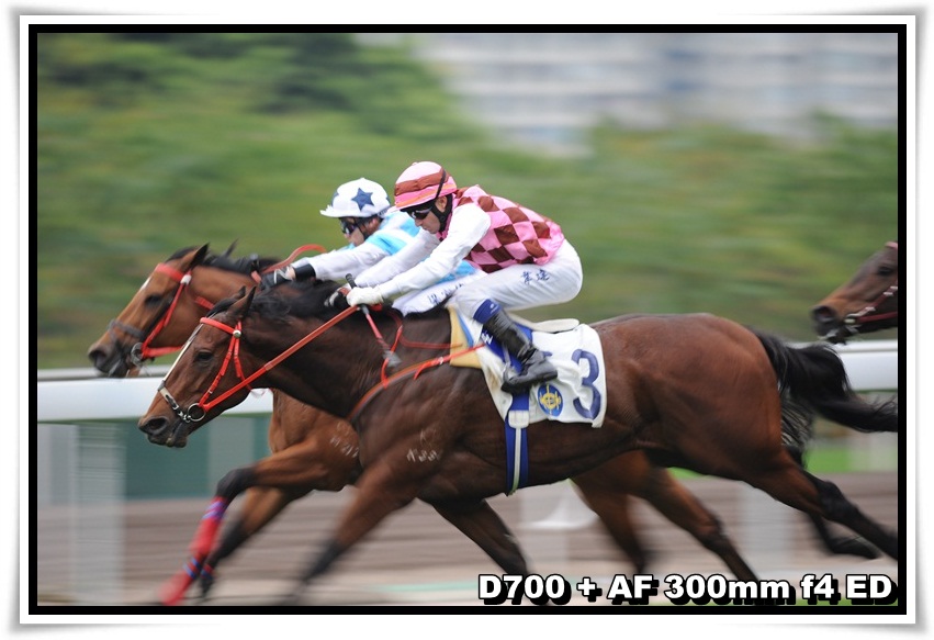 [HorseRace_01.JPG]