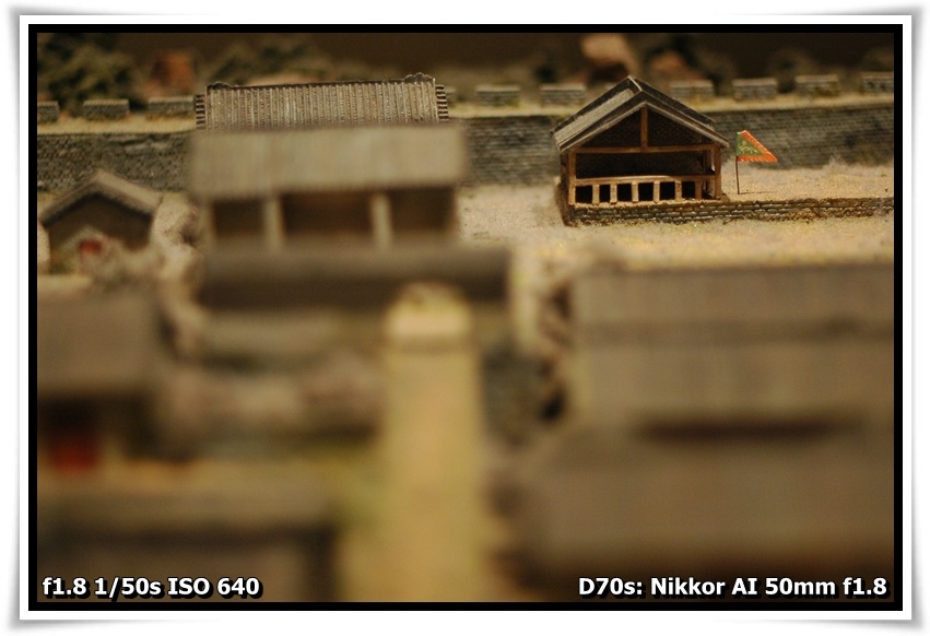 [DSC_4218.JPG]