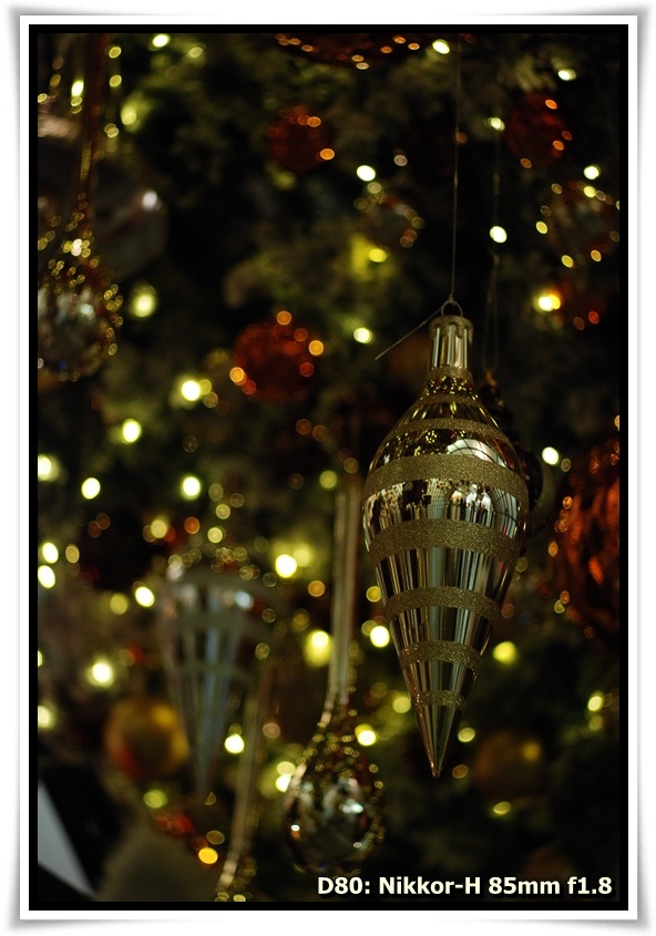 [DSC_4911.JPG]