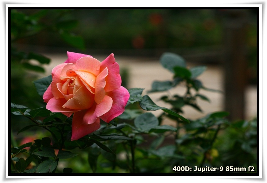 [IMG_6732.JPG]