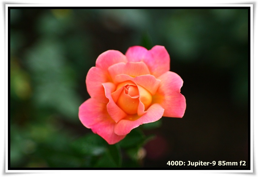 [IMG_6685.JPG]