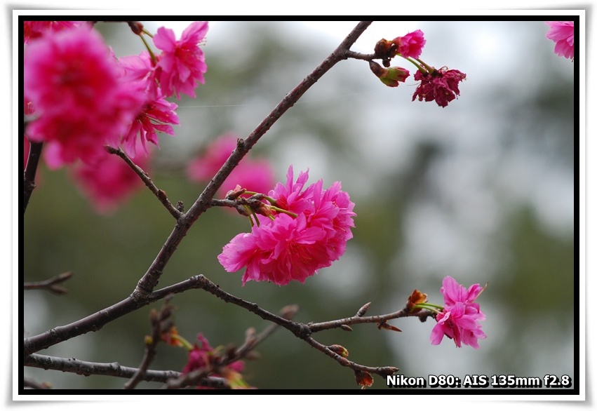 [DSC_5884.JPG]