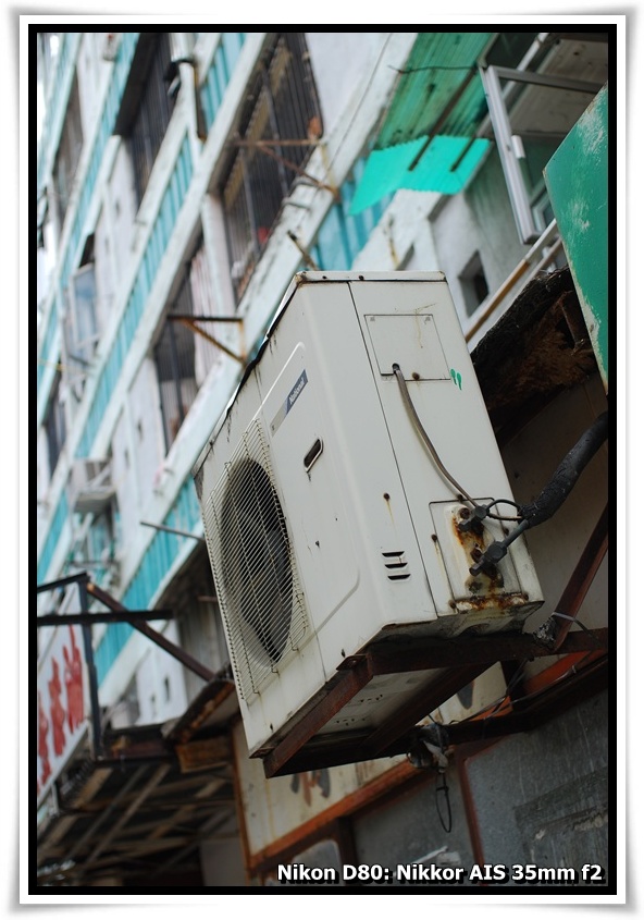 [DSC_7225.JPG]