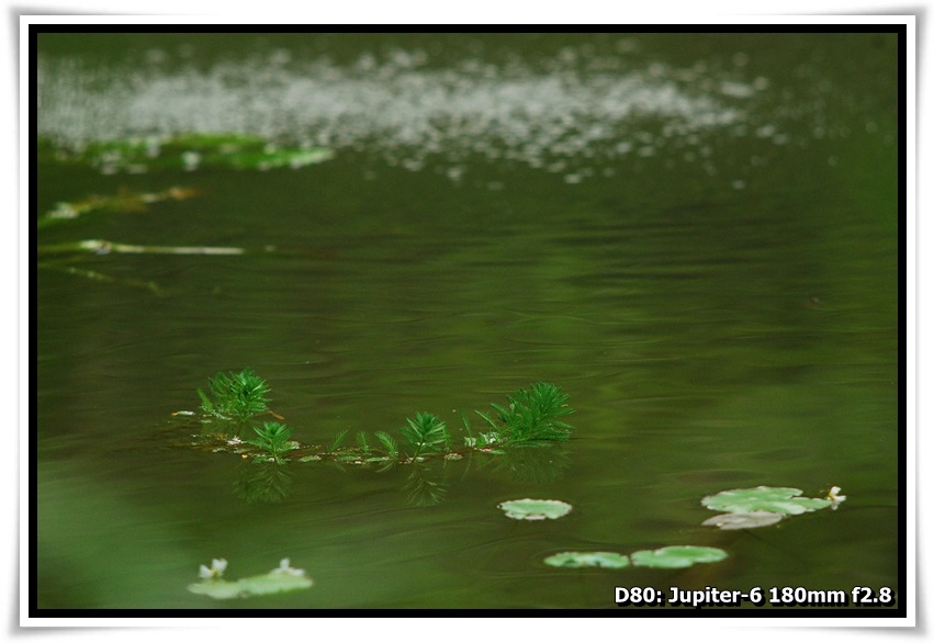 [DSC_3079.JPG]