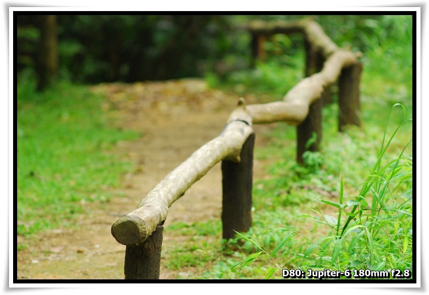 [DSC_3107.JPG]