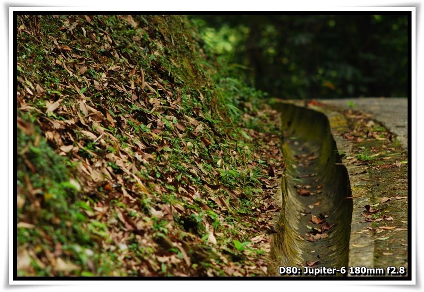 [DSC_3032.JPG]