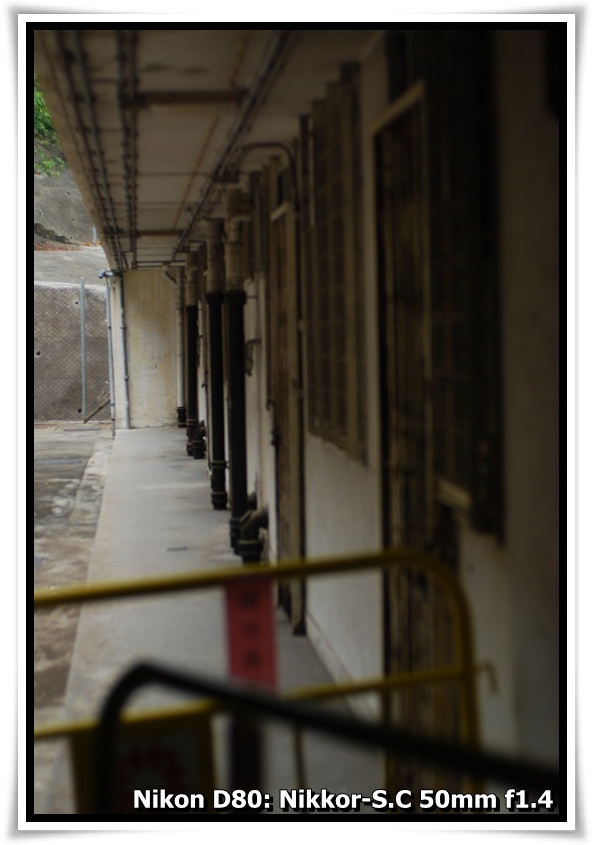[DSC_6247.JPG]