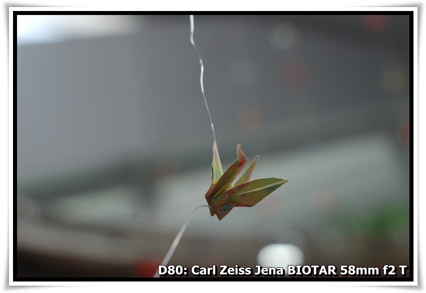 [DSC_8486.JPG]
