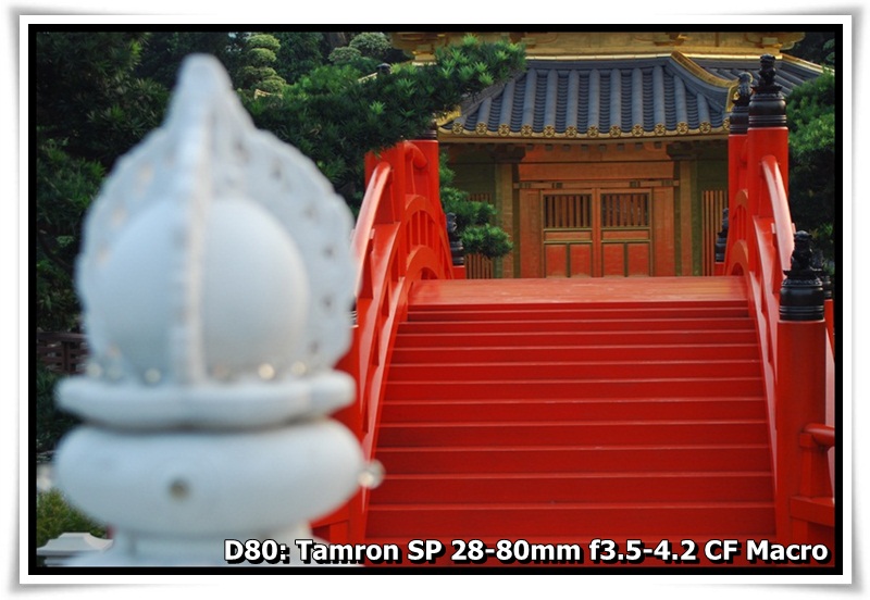 [DSC_1078.JPG]