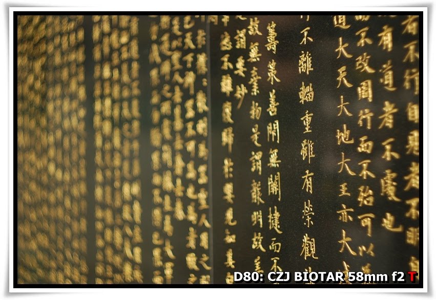 [ChrysanthemumShow_YuenYuenInstitute_b04.JPG]