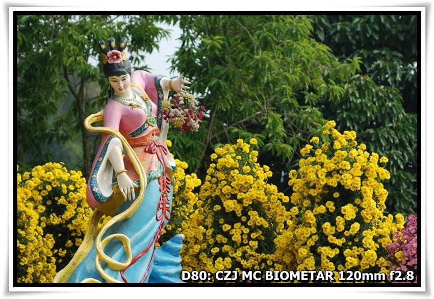 [ChrysanthemumShow_YuenYuenInstitute_a13.JPG]