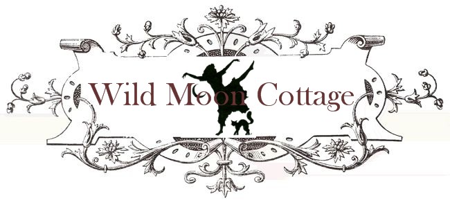 Wild Moon Cottage