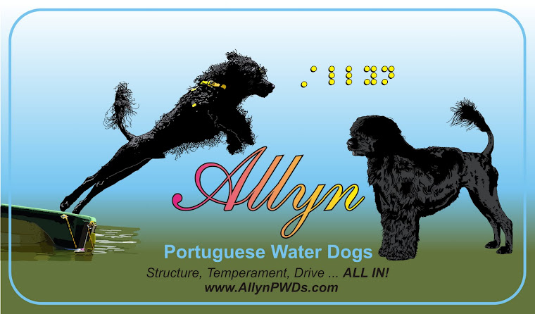 Allyn Portuguese Water Dogs by the Blindchick