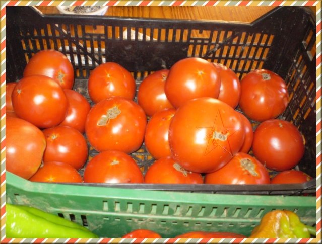 [tomate3.jpg]