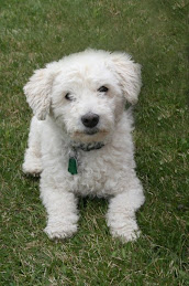 What Are We Waiting For?