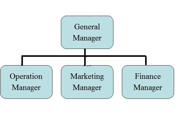 Organizational Chart For Business Plan