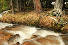 Down Stream Thoughts