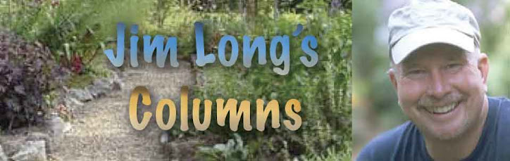 Jim Long's Columns