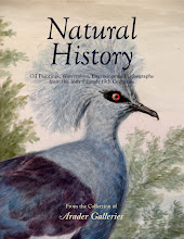 Natural History: Oil Paintings, Watercolors, Engravings and Lithographs from the 16th through 19th