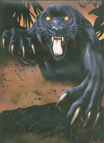 Violence: The Black Panthers