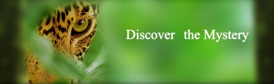 AMAZONAS - IQUITOS:  A WORLD TO DISCOVER...