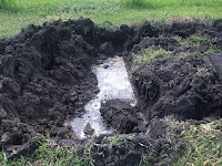 4 + 5 = 9: Water Line Leak In Our Back Yard