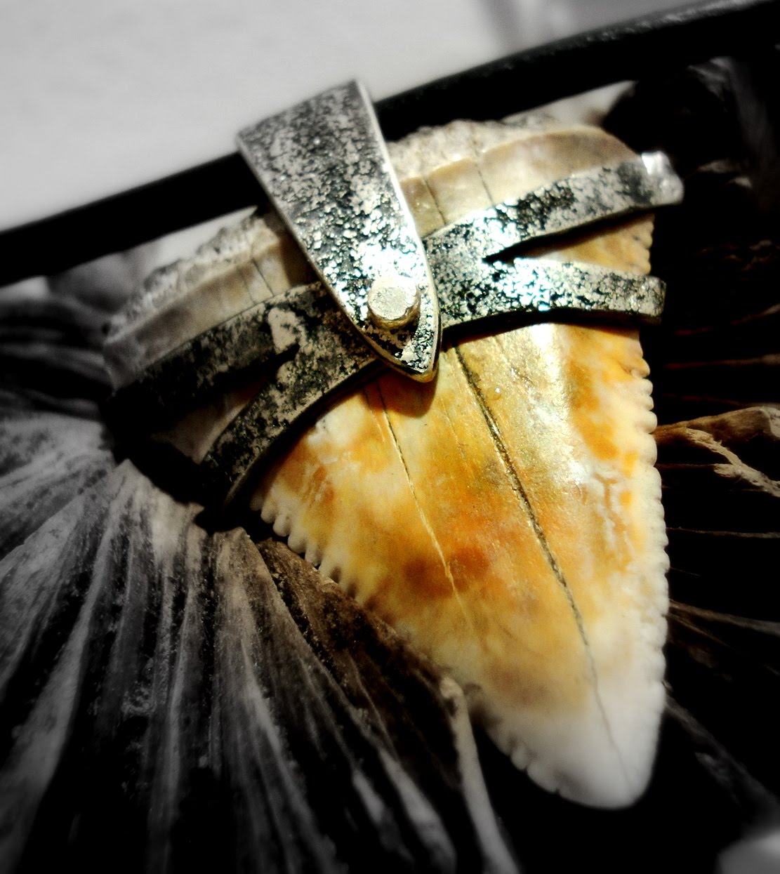 EK Art Jewelry Tamarindo Costa Rica: Shark tooth fossil, men necklace