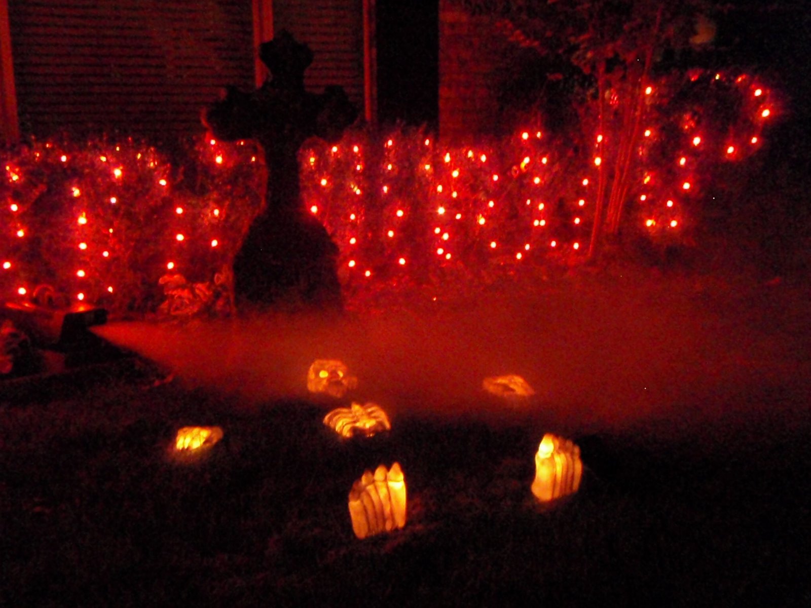 [2008+Oct+31_0321.JPG]