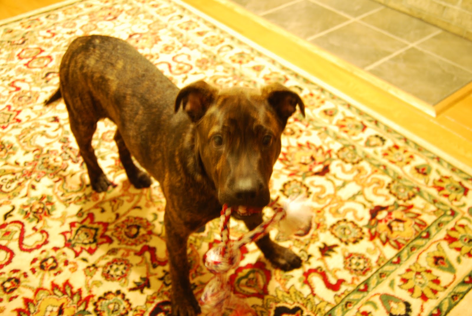 [December+2009+057.jpg]