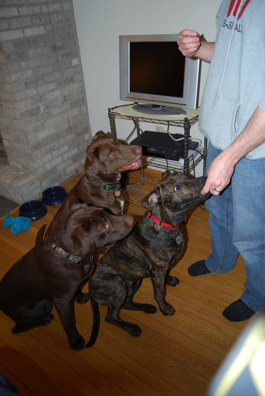 [March+2010+006.jpg]