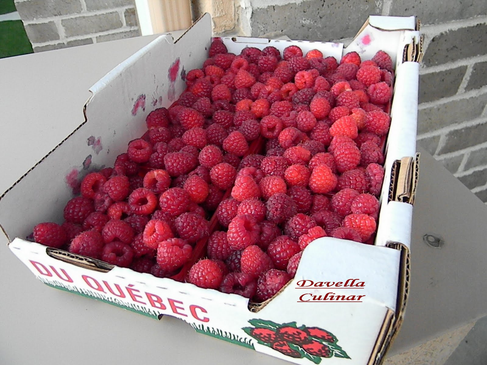 *DAVELLA CULINAR* L’autocueillette de framboises du Québec et Mousse aux framboises / Spuma