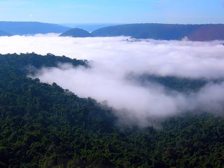 Floresta Nacional de Carajás | Pará